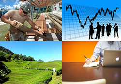 Integrated Economic Statistics