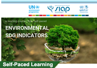 Environmental SGD indicators: A graph showing key indicators of sustainable development goals related to the environment.